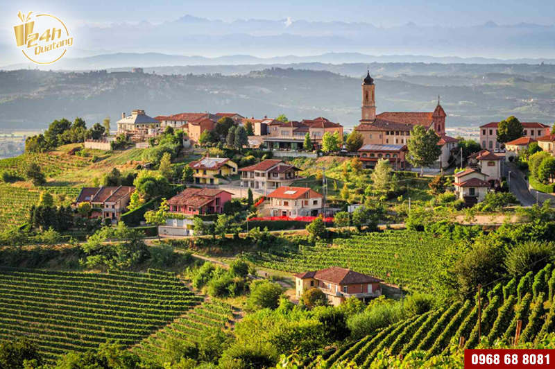 20 vùng rượu vang nước Ý nổi tiếng