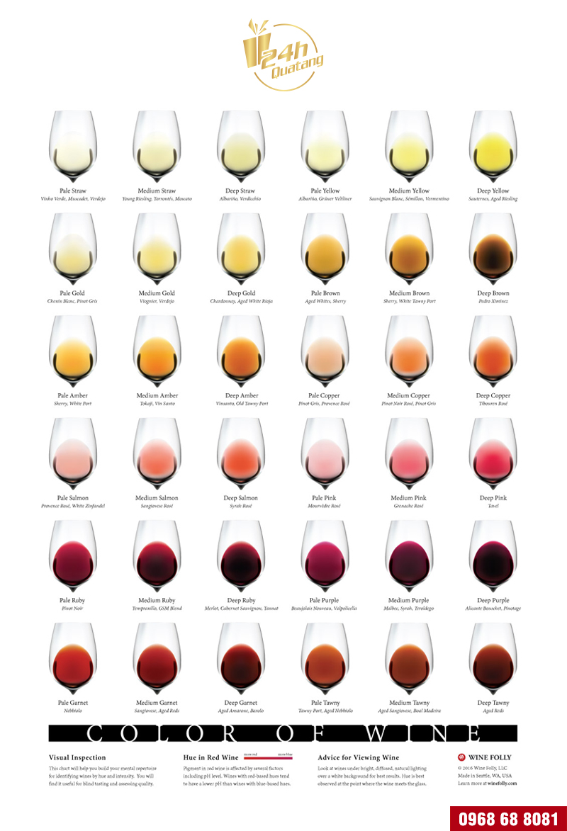 màu sắc của rượu vang và bảng màu rượu vang