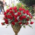 BÌNH HOA HỒNG ĐỎ CAO CẤP