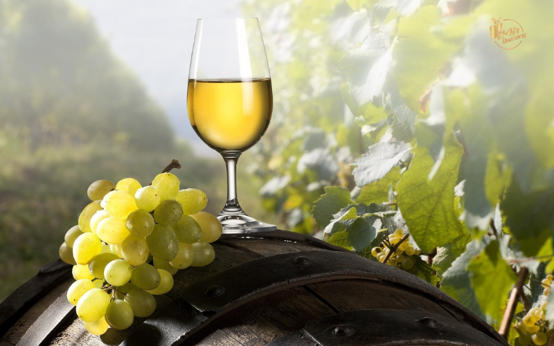 Quá trình lên men rượu vang trắng diễn ra ở nhiệt độ thấp so với vang đỏ