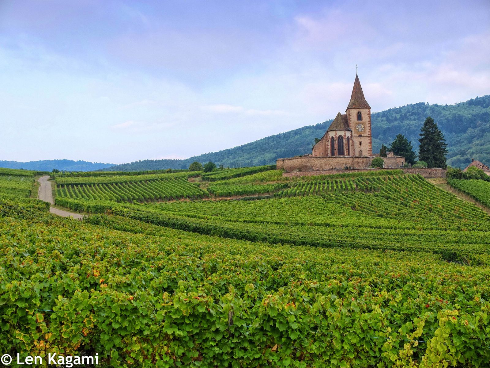 “cung đường rượu vang” vùng Alsace (Route des Vins d’Alsace).