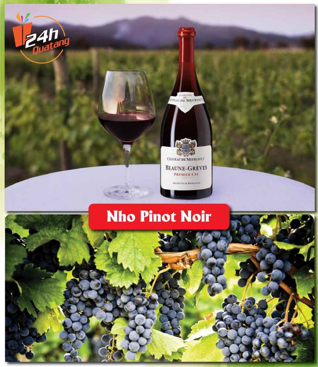 rượu vang đỏ Pinot Noir rượu vang cao cấp quatang24h.com.vn