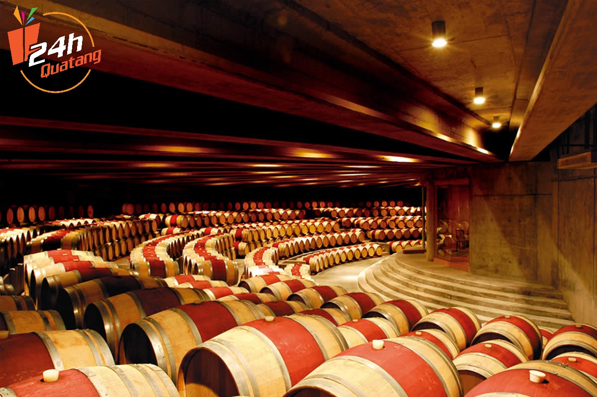 hầm rượu vang Chile Quatang24h.com.vn