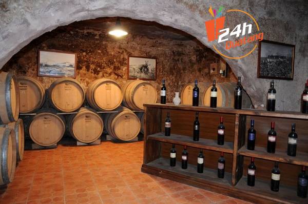 Rượu vang Ý Cantina San Donaci - quatang24h.com.vn