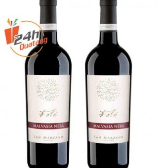 Rượu vang Ý - Falò Malvasia Nera