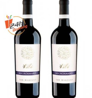 Rượu vang Ý - Falò Negroamaro